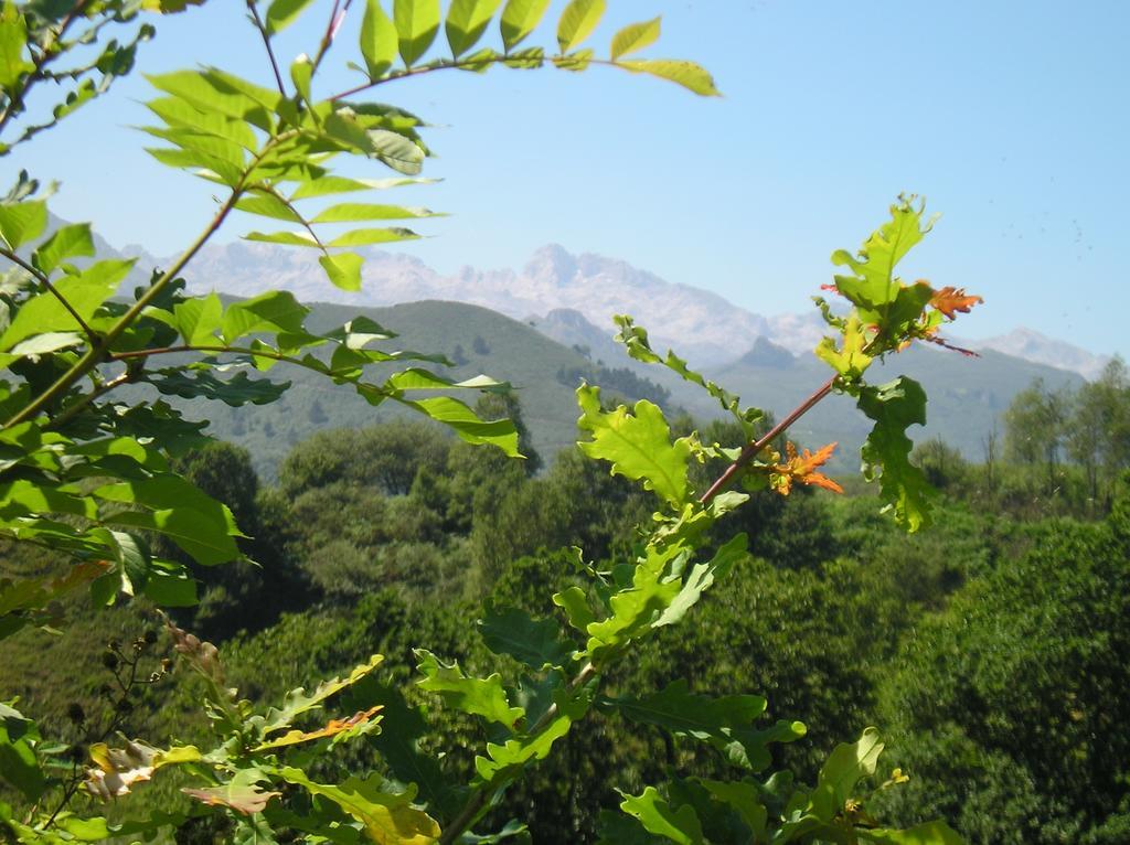 Bobia de Arriba Casa Rural Alborada מראה חיצוני תמונה